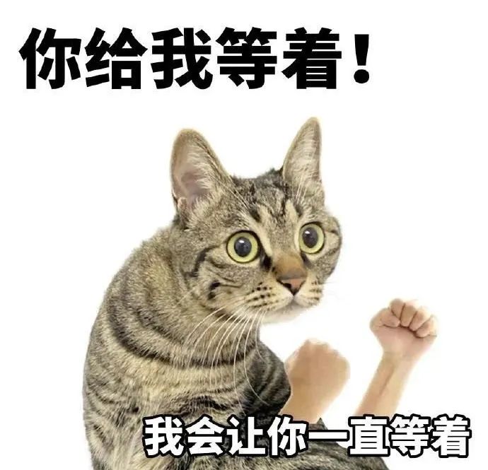 大哥豪刷20万要求女主播谈恋爱，遭到无情拒绝后要求退款，女主竟真退了大哥却不乐意了！