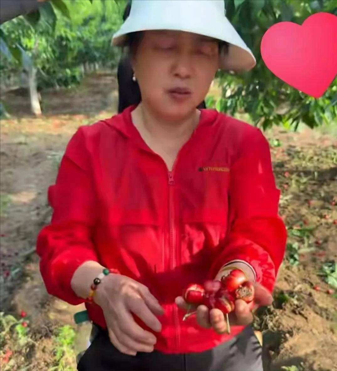 李雨禅被刑拘后续:果农曝细节追责中