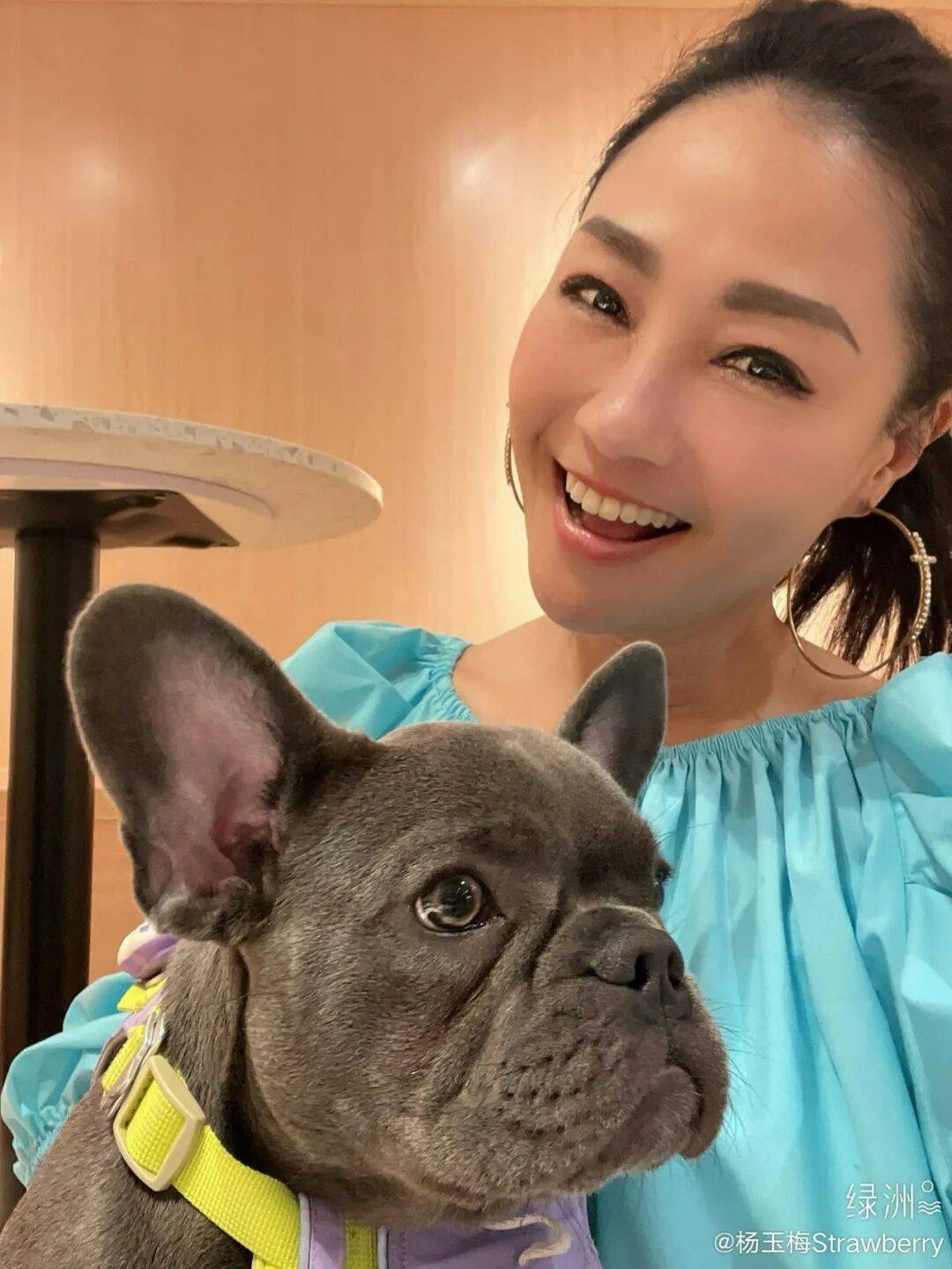 TVB女星杨玉梅自曝行业规则:拒富豪约见拉黑