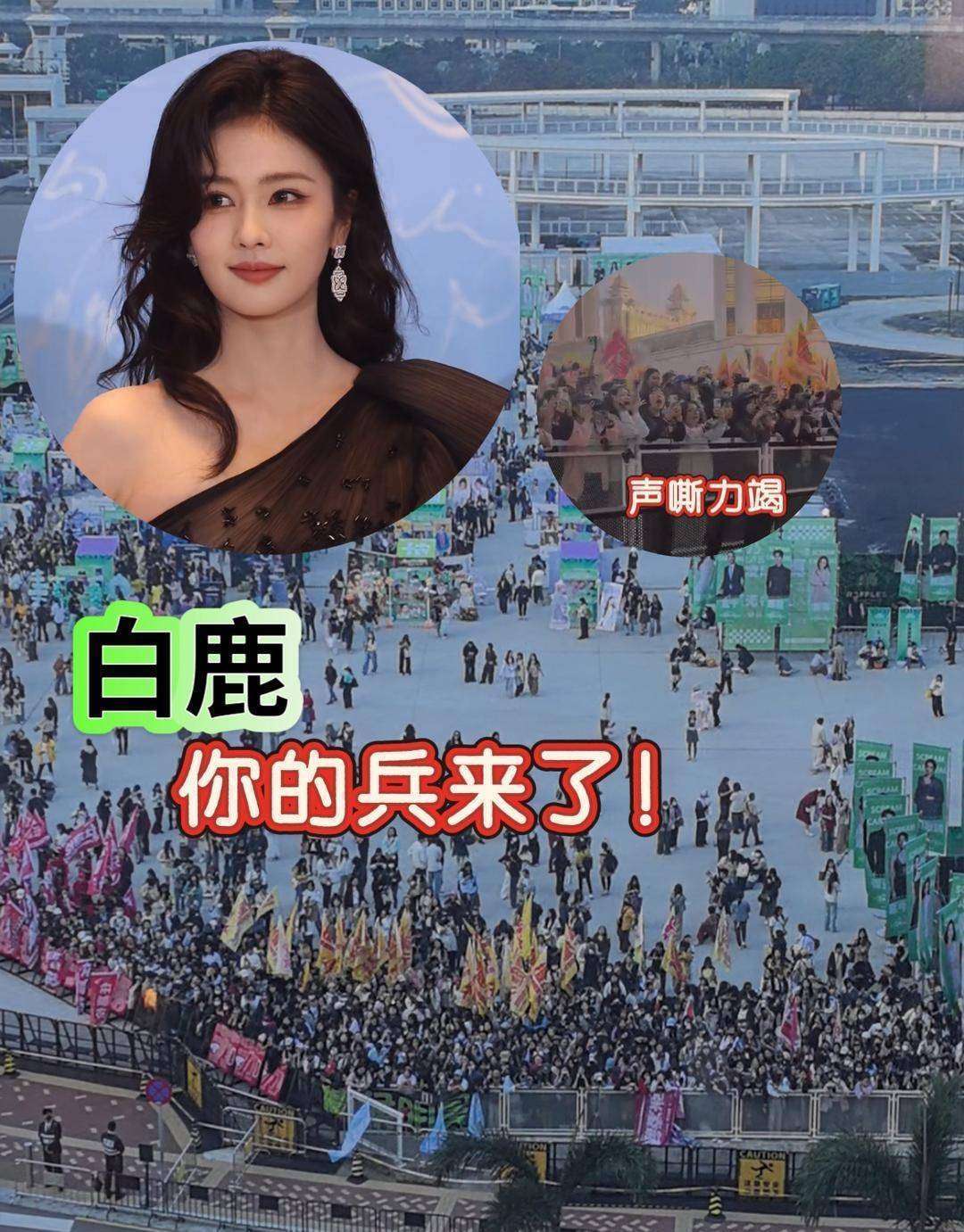 白鹿铁证辟谣,流量明星人设一夜崩塌