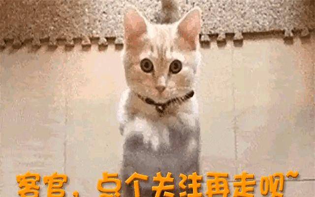 白鹿风波再升级:圈内猛料+十万红包内幕