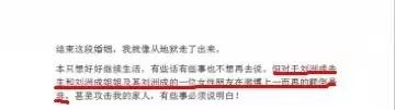 刘洲成何洁家暴风波引热议