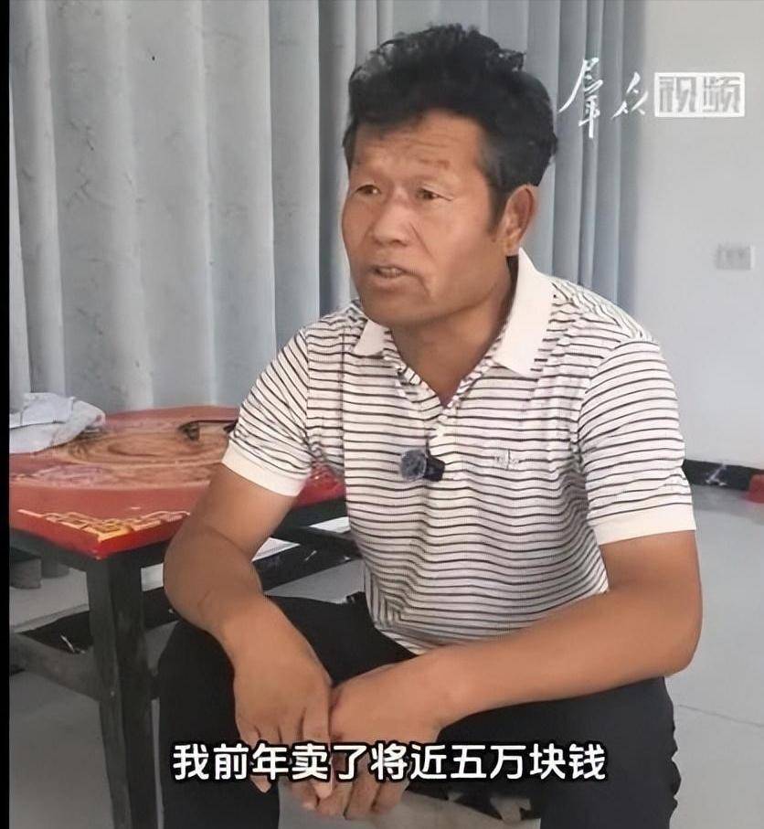 李雨禅被刑拘后续:果农曝细节追责中