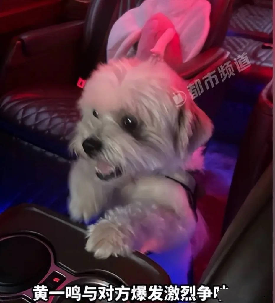 网红虐狗人设崩塌!前男友曝光真相,王思聪拒绝认女