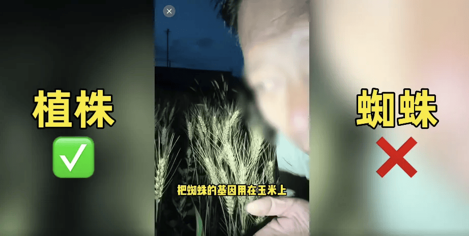 200万网红抹黑袁隆平杂交水稻,造谣翻车被永久封禁