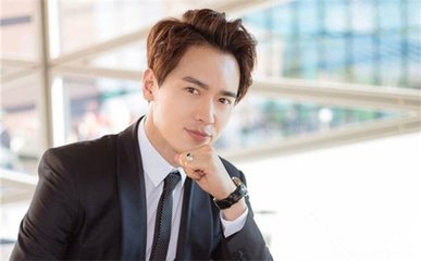 高云翔悉尼事件相关