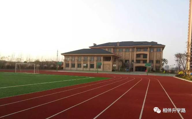 星河湾vs七宝德怀特:魔都热门国际学校全方位PK