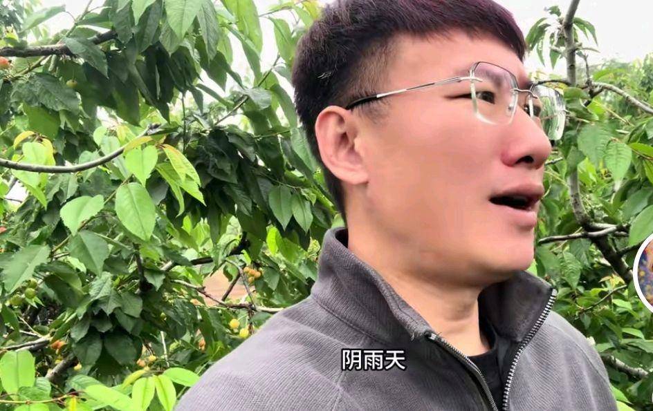 杨二狗分手费反转 网红卓越人设崩塌