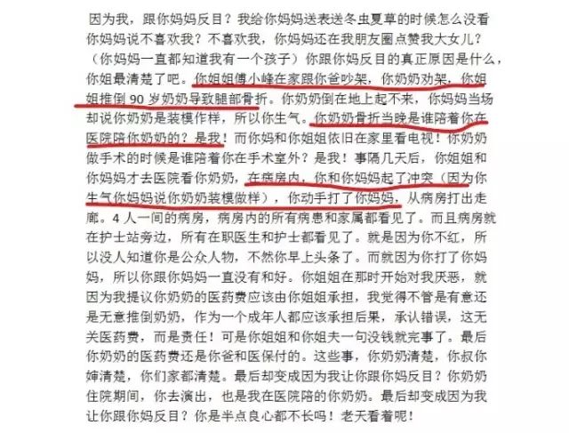 刘洲成何洁家暴风波引热议