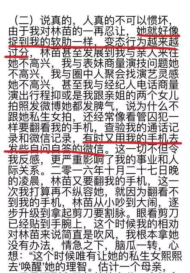 刘洲成何洁家暴风波引热议